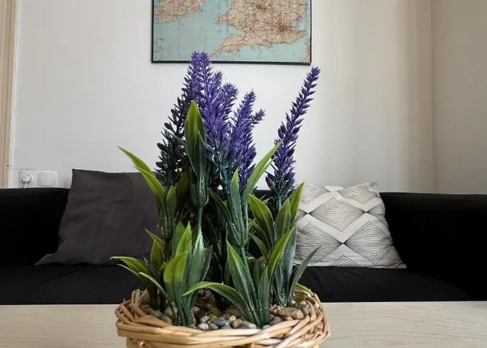 Apartament Weiner Central *